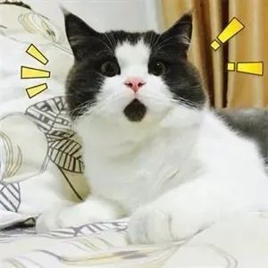 DƬ